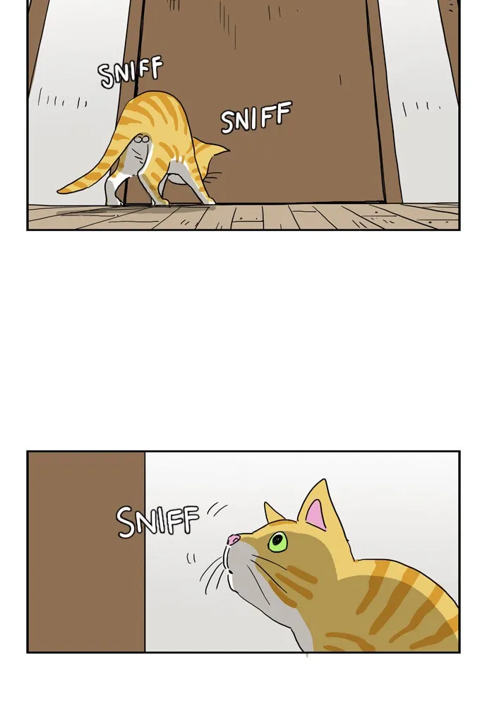 My Daughter is a Zombie Chapter 6 page 3 - 