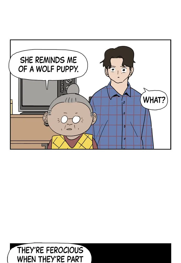 My Daughter is a Zombie Chapter 8 page 43 - 