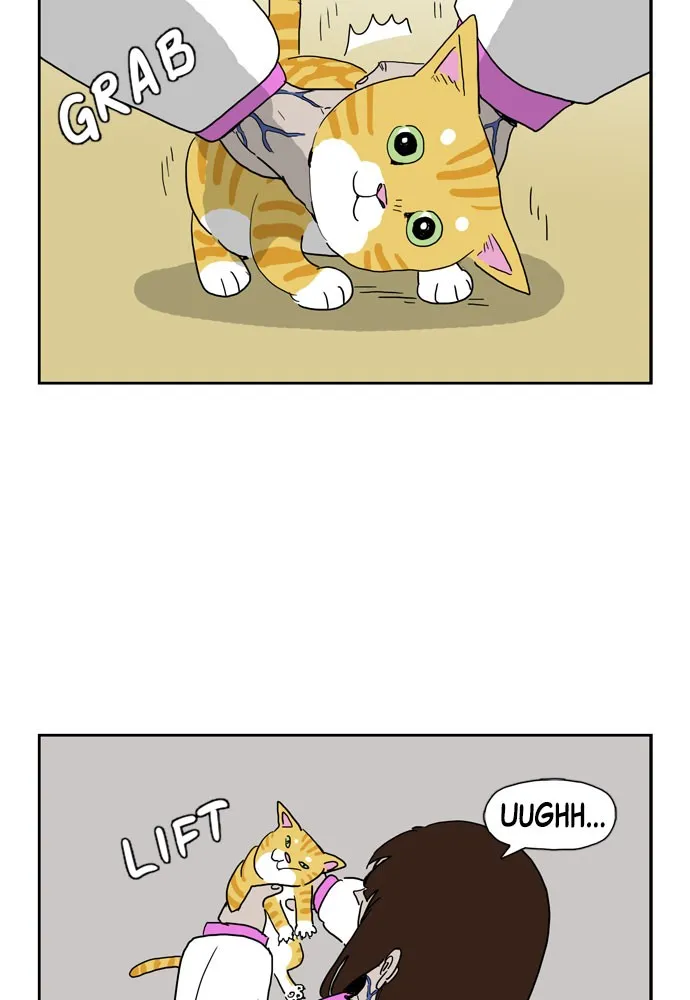 My Daughter is a Zombie Chapter 9 page 6 - 