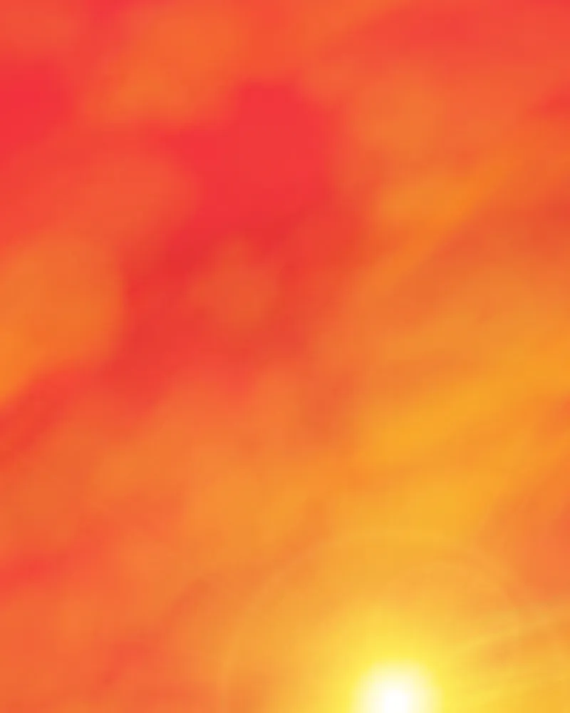 My Dear Cold-Blooded King Chapter 27 page 4 - 