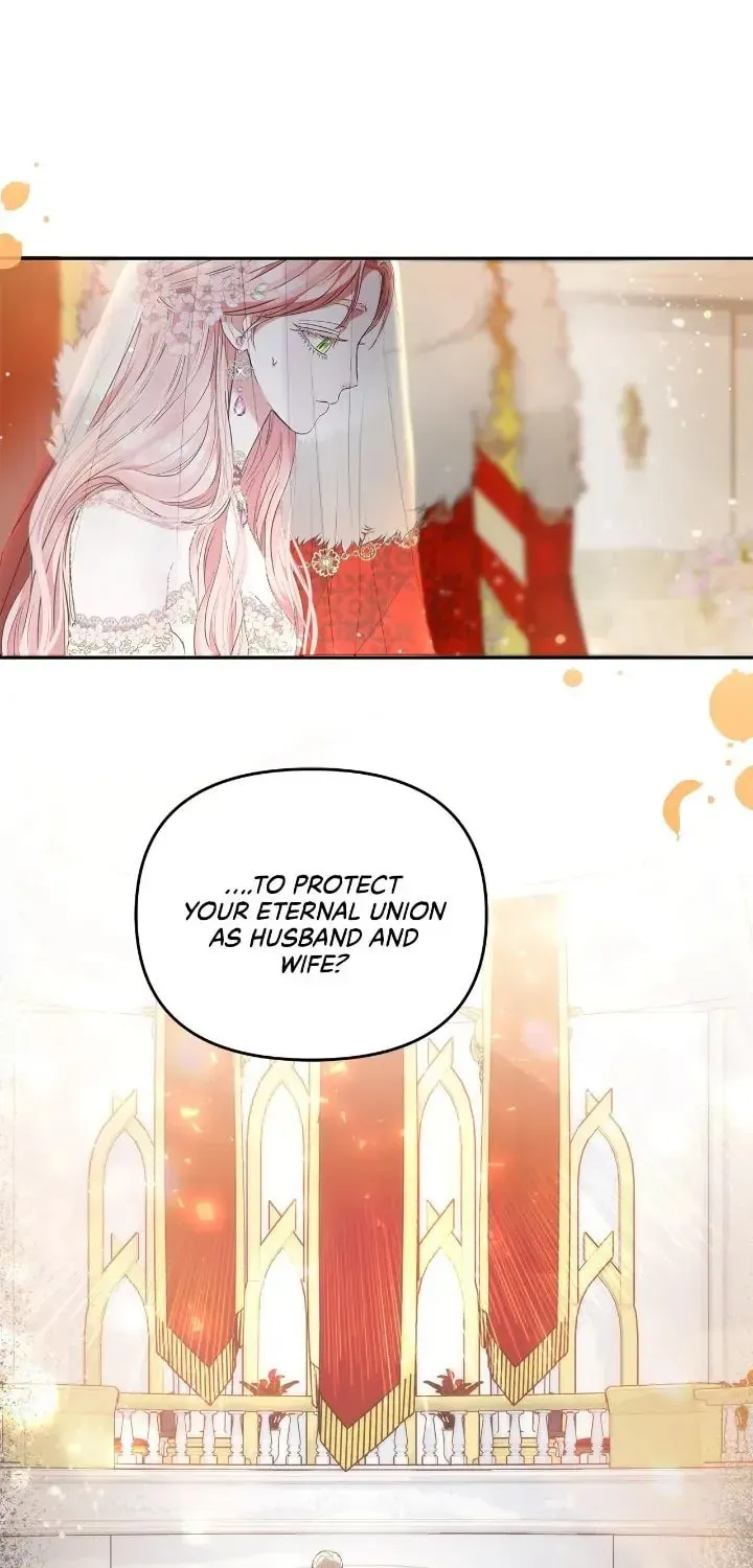 My Evil Husband Is Obsessed With the Wrong Person Chapter 1 page 17 - 