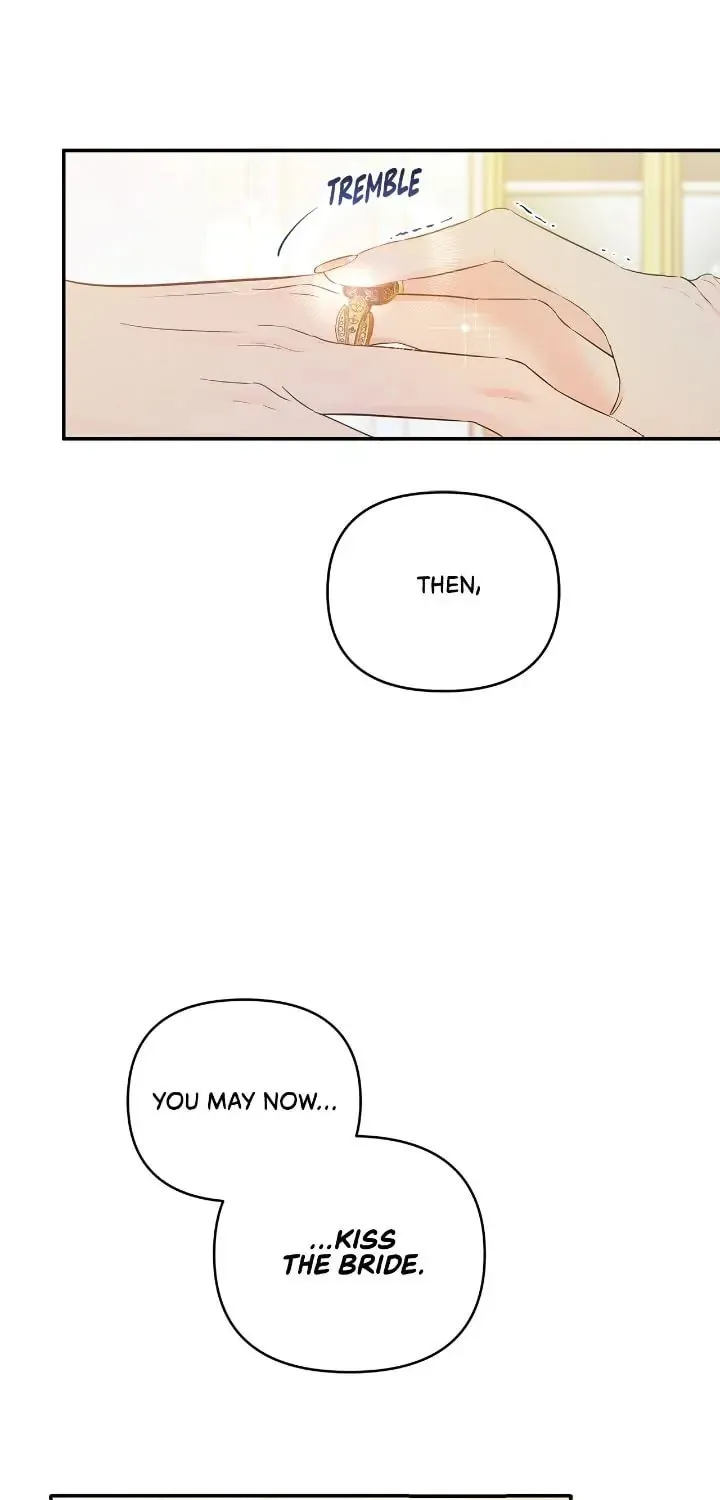 My Evil Husband Is Obsessed With the Wrong Person Chapter 1 page 29 - 