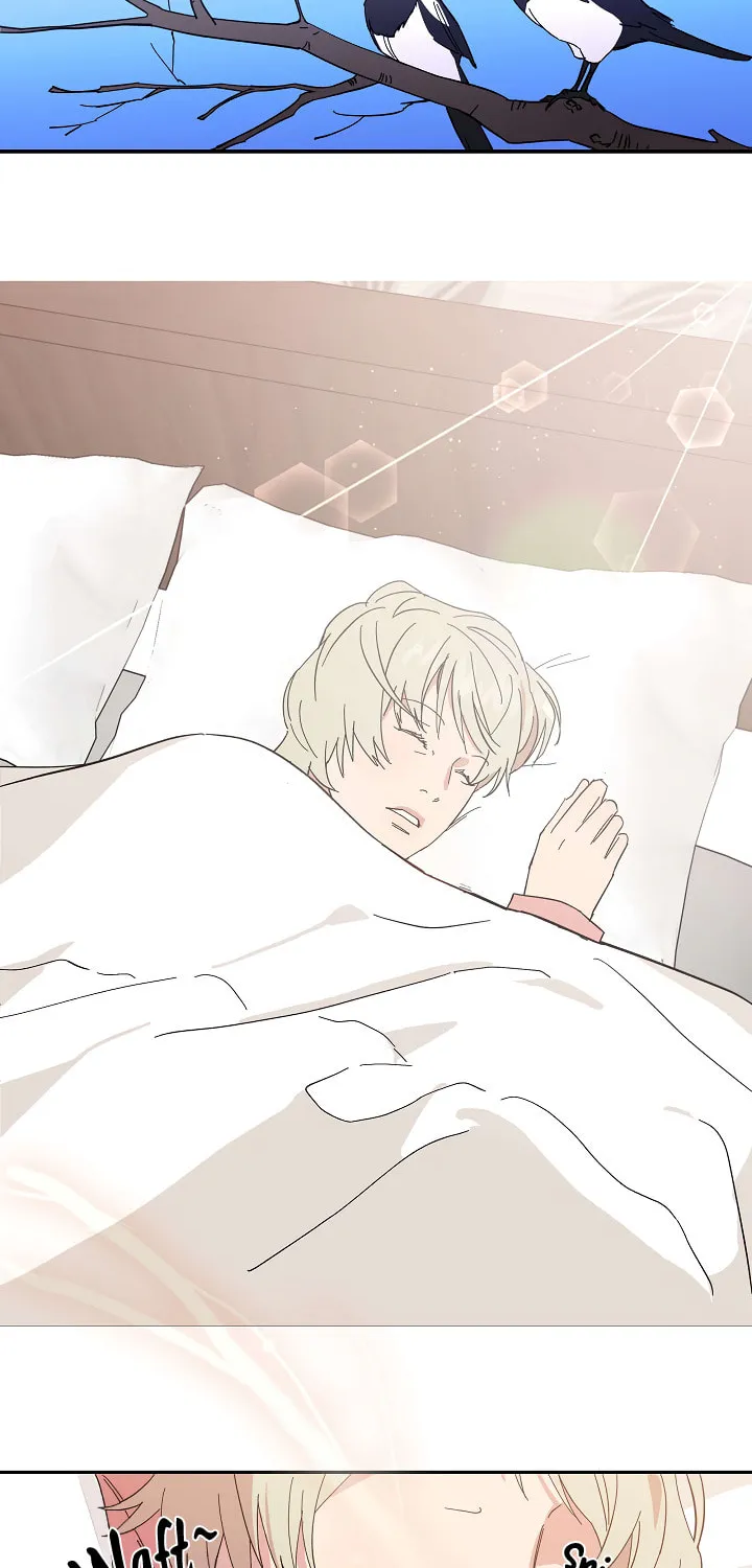 My Gorgeous Fiance Chapter 1 page 3 - 