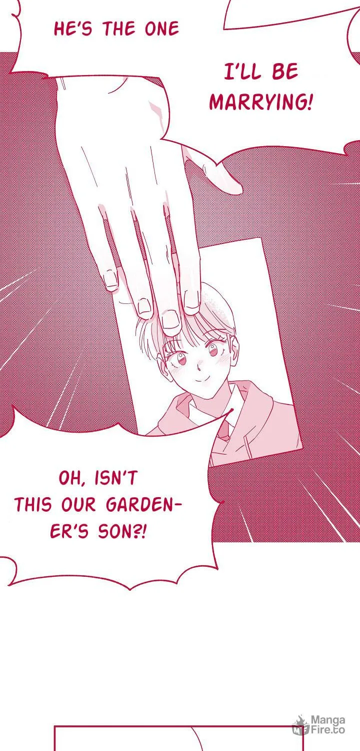 My Gorgeous Fiance Chapter 2 page 17 - 