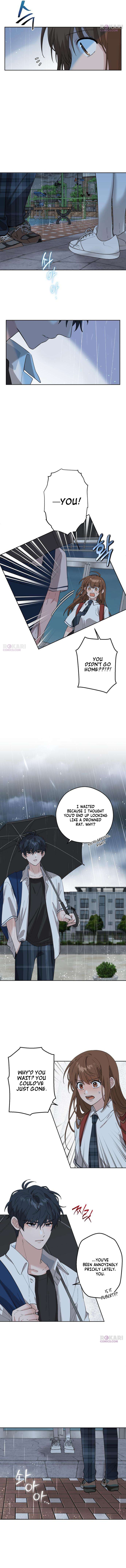 My Gorgeous Nightmare Chapter 15 page 8 - 