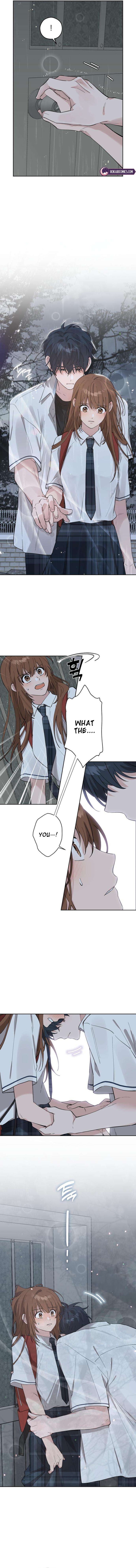 My Gorgeous Nightmare Chapter 16 page 5 - 