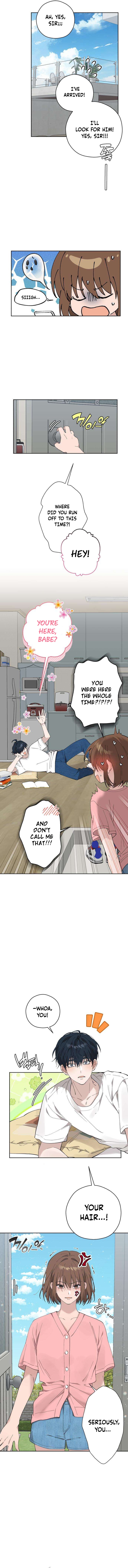 My Gorgeous Nightmare Chapter 27 page 12 - 