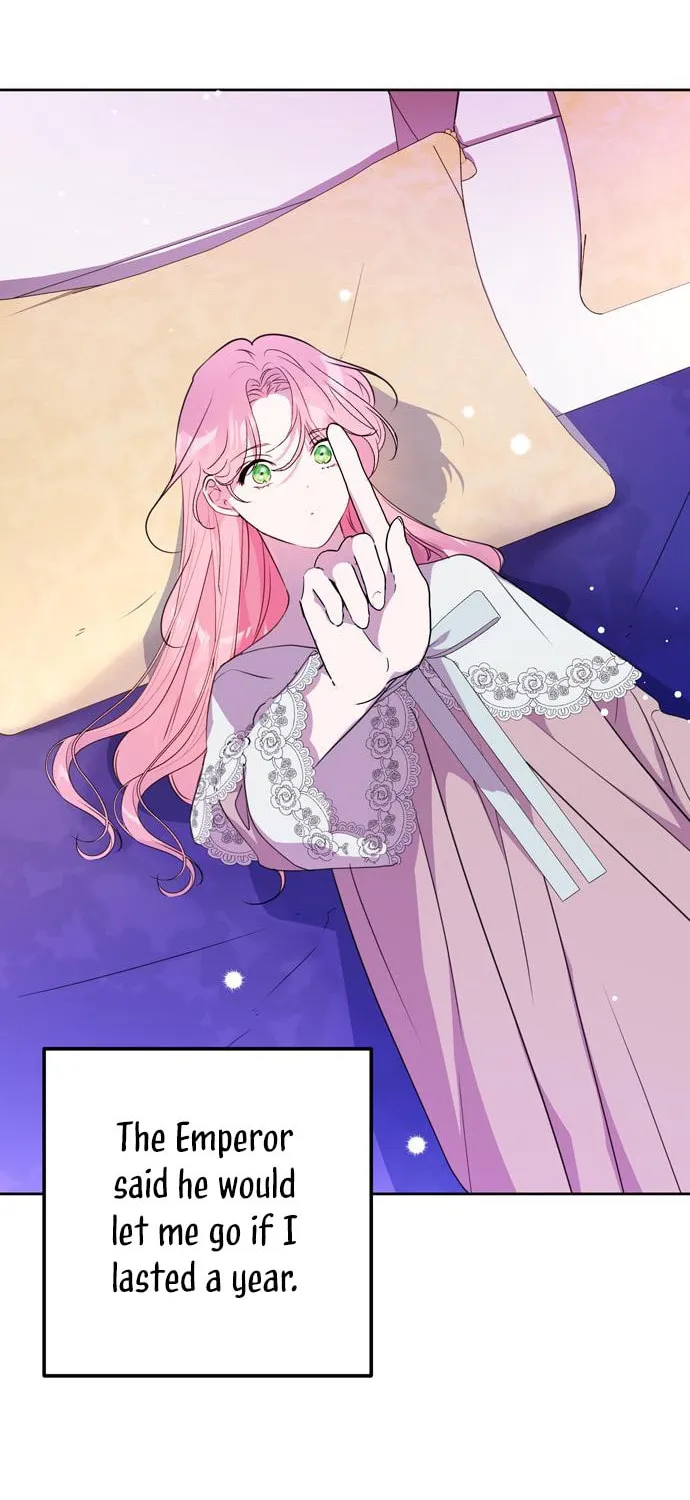 My Husband Changes Every Night Chapter 4 page 75 - 