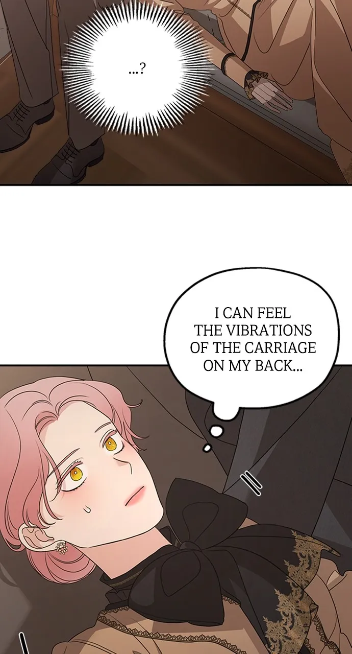 My In-Laws are Obsessed with Me Chapter 103 page 83 - 