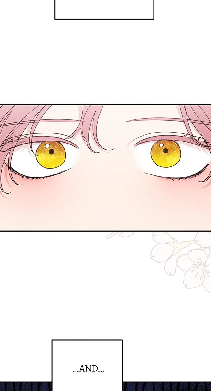 My In-Laws are Obsessed with Me Chapter 105 page 17 - 