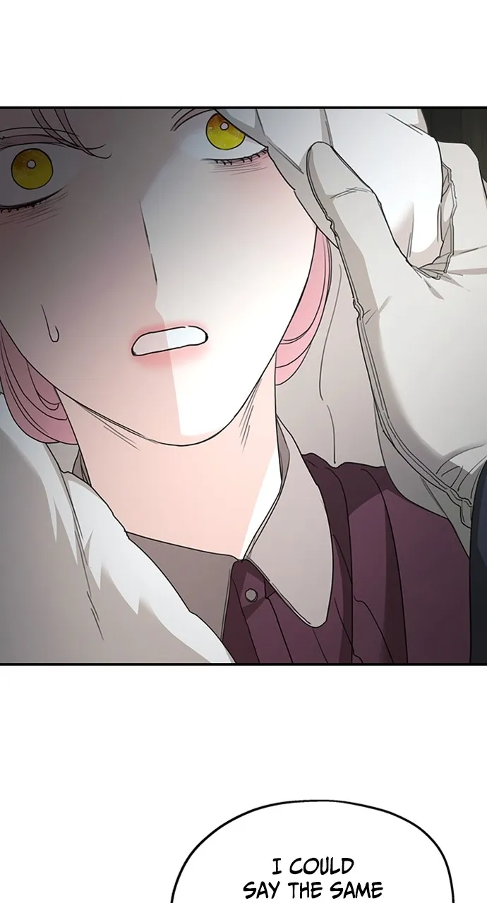 My In-Laws are Obsessed with Me Chapter 111 page 13 - 