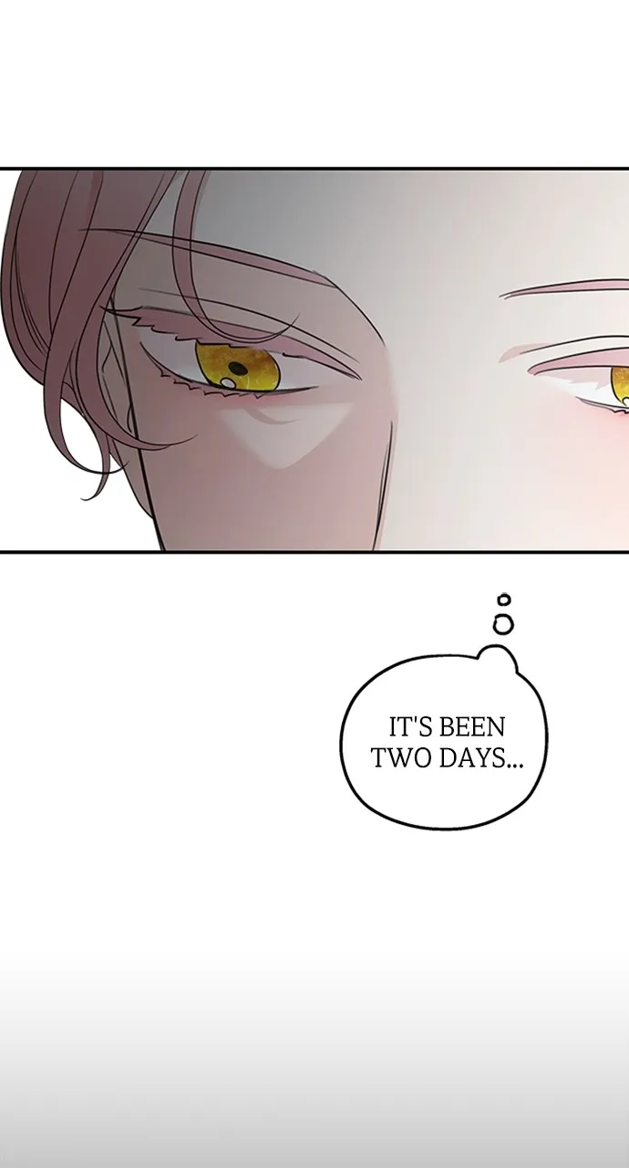 My In-Laws are Obsessed with Me Chapter 111 page 81 - 