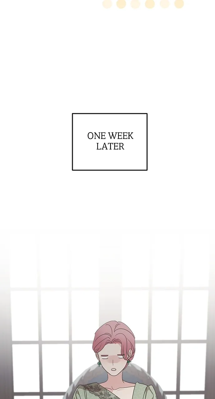 My In-Laws are Obsessed with Me Chapter 113 page 57 - 