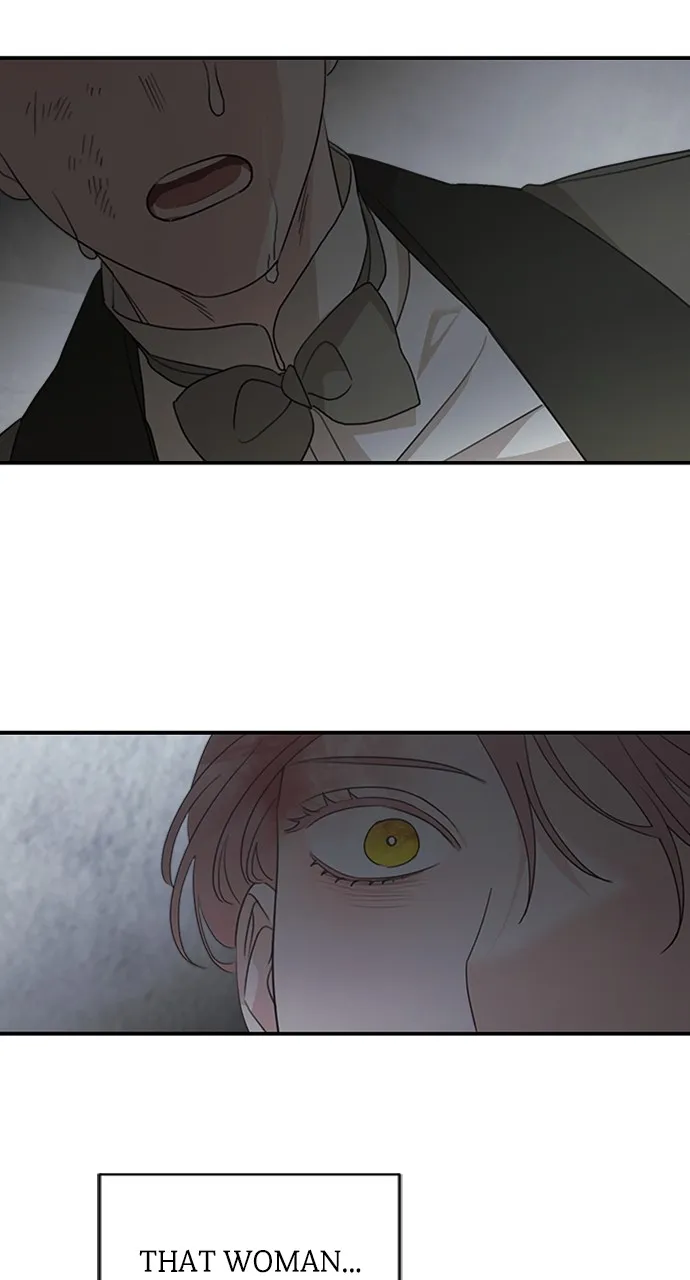 My In-Laws are Obsessed with Me Chapter 116 page 103 - 