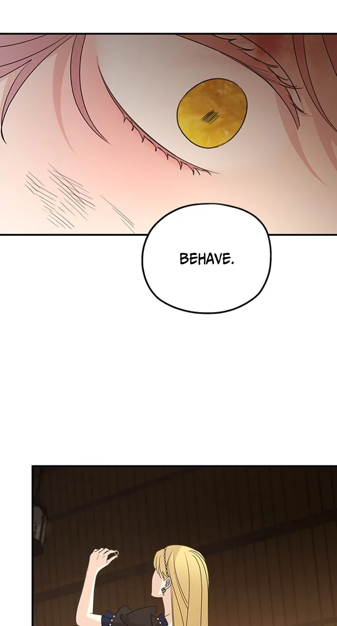 My In-Laws are Obsessed with Me Chapter 116 page 44 - 