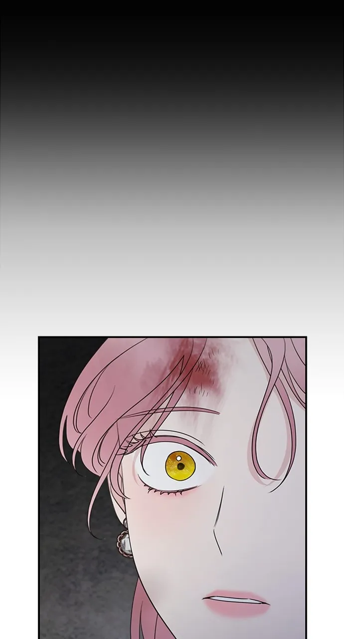 My In-Laws are Obsessed with Me Chapter 117 page 17 - 