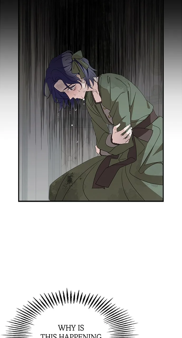 My In-Laws are Obsessed with Me Chapter 121 page 71 - 