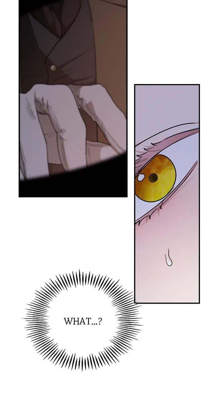 My In-Laws are Obsessed with Me Chapter 84 page 49 - 