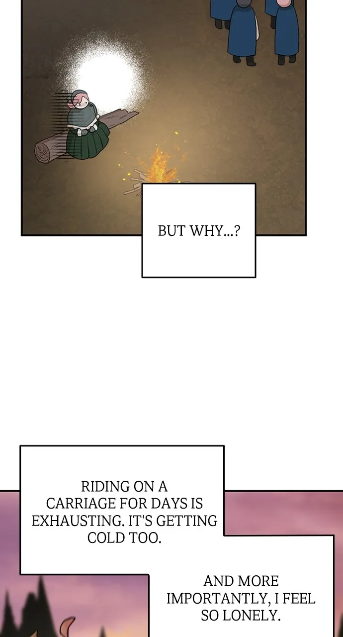 My In-Laws are Obsessed with Me Chapter 85 page 65 - 