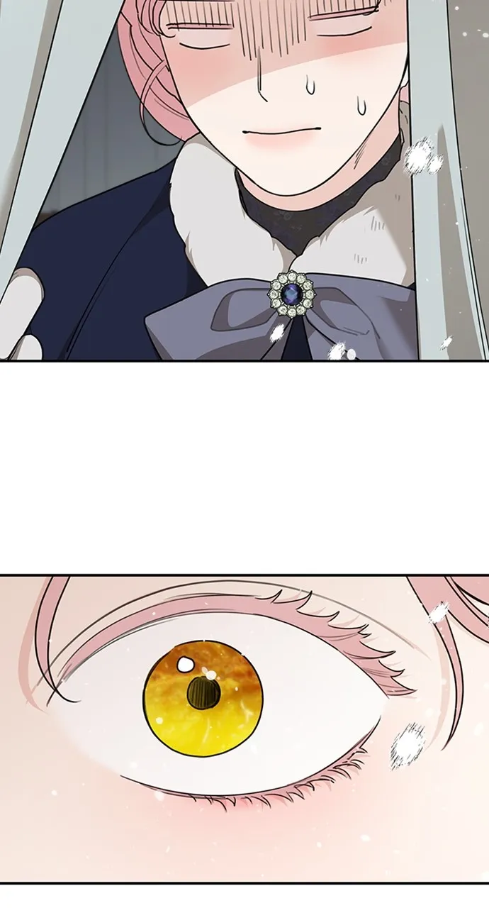 My In-Laws are Obsessed with Me Chapter 86 page 63 - 