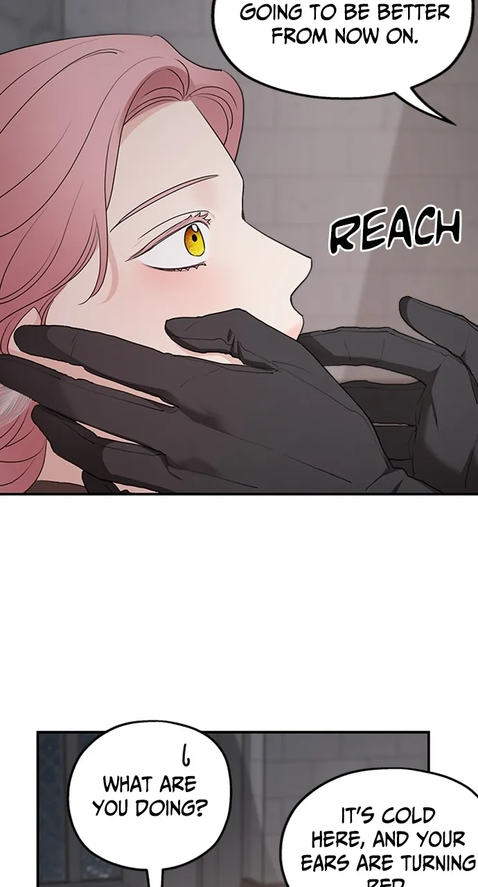 My In-Laws are Obsessed with Me Chapter 88 page 23 - 
