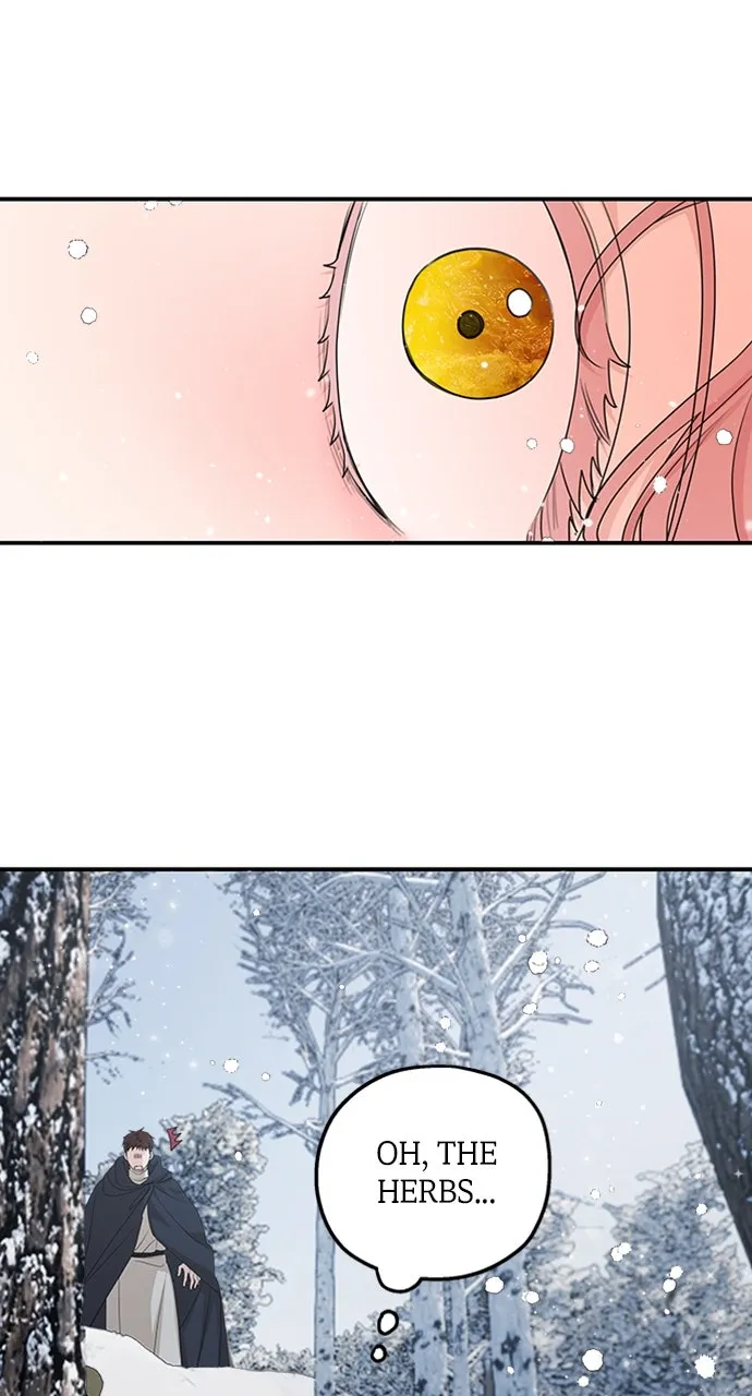 My In-Laws are Obsessed with Me Chapter 96 page 41 - 