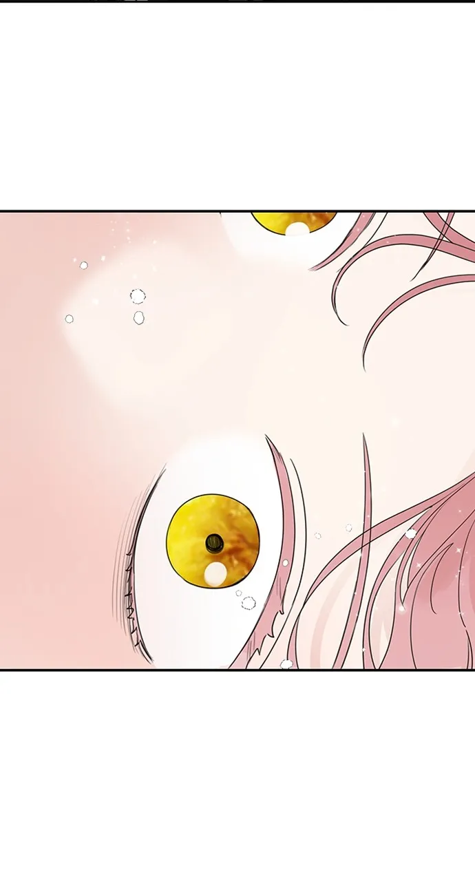 My In-Laws are Obsessed with Me Chapter 96 page 46 - 