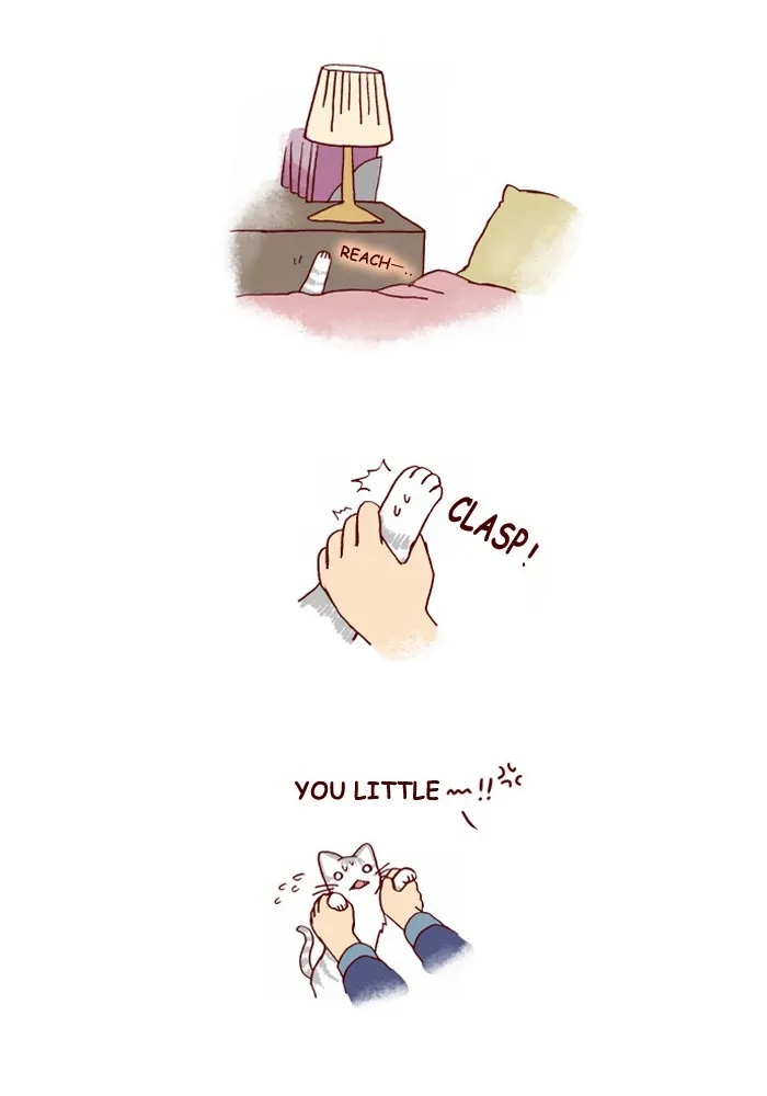 My Kitty and Old Dog Chapter 109 page 3 - 