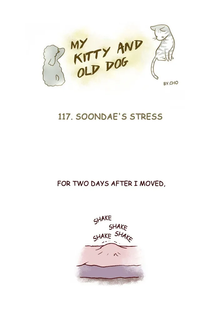 My Kitty and Old Dog Chapter 117 page 1 - 