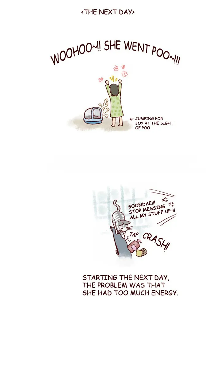 My Kitty and Old Dog Chapter 117 page 5 - 