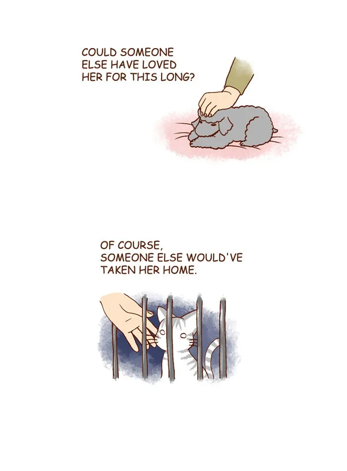 My Kitty and Old Dog Chapter 118 page 3 - 