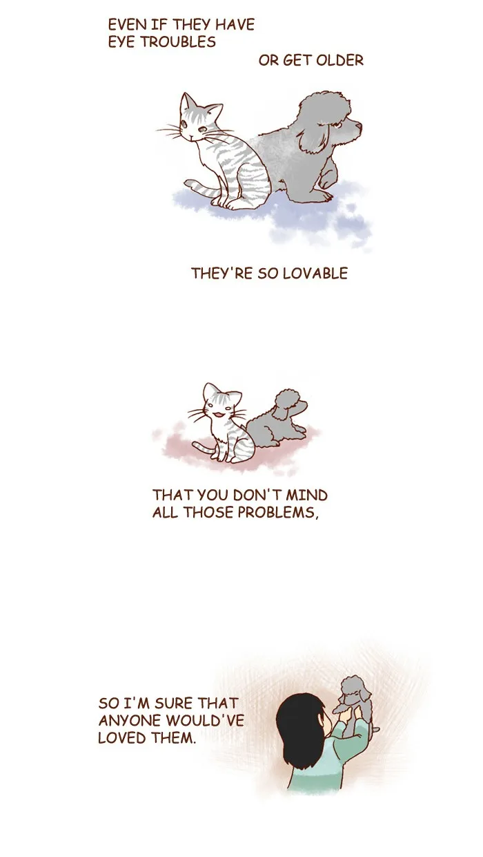 My Kitty and Old Dog Chapter 118 page 4 - 