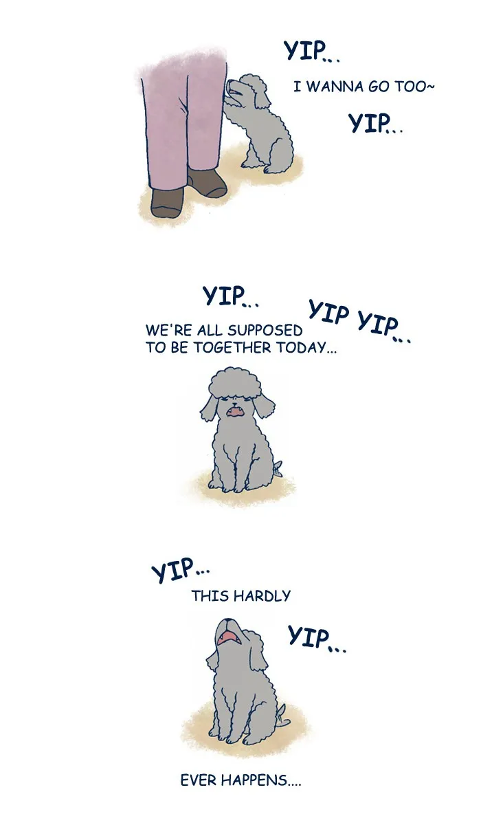 My Kitty and Old Dog Chapter 119 page 4 - 