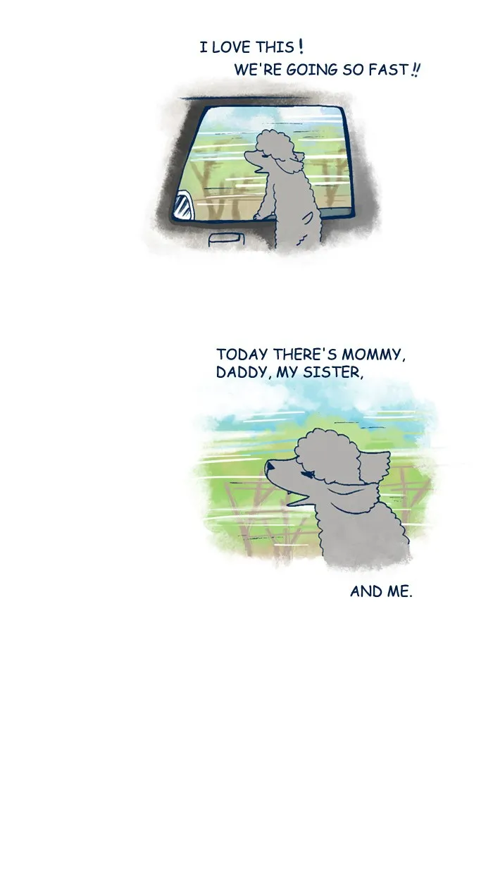 My Kitty and Old Dog Chapter 119 page 6 - 