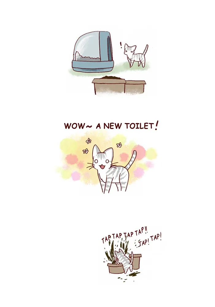 My Kitty and Old Dog Chapter 120 page 4 - 