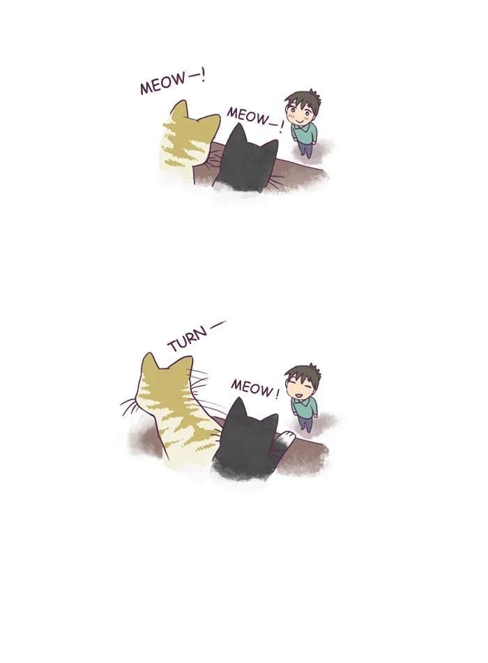My Kitty and Old Dog Chapter 122 page 5 - 