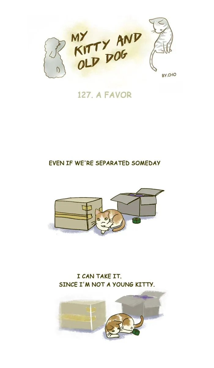 My Kitty and Old Dog Chapter 127 page 1 - 