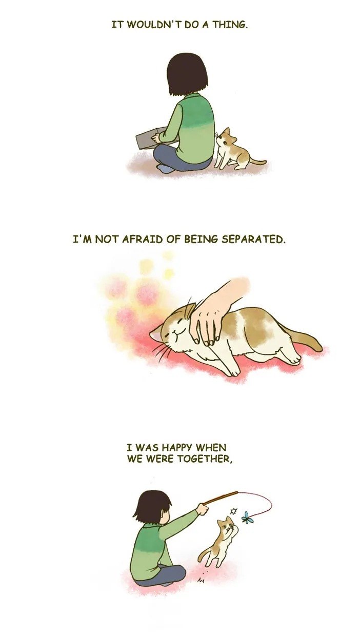 My Kitty and Old Dog Chapter 127 page 3 - 