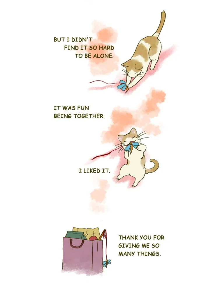 My Kitty and Old Dog Chapter 127 page 4 - 