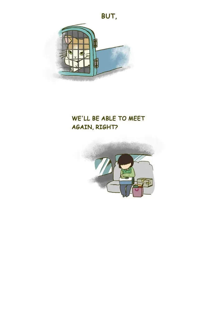 My Kitty and Old Dog Chapter 127 page 5 - 