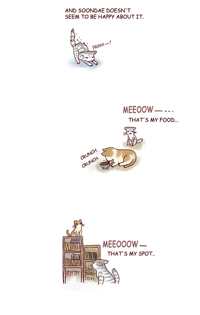 My Kitty and Old Dog Chapter 128 page 2 - 