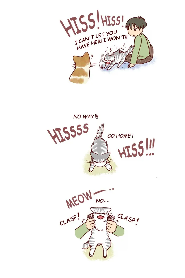 My Kitty and Old Dog Chapter 128 page 4 - 