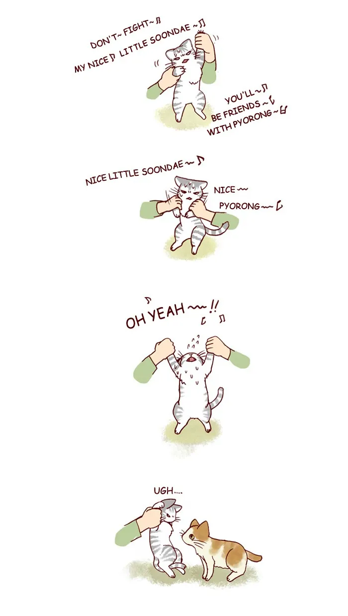 My Kitty and Old Dog Chapter 128 page 5 - 