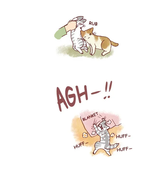 My Kitty and Old Dog Chapter 128 page 6 - 