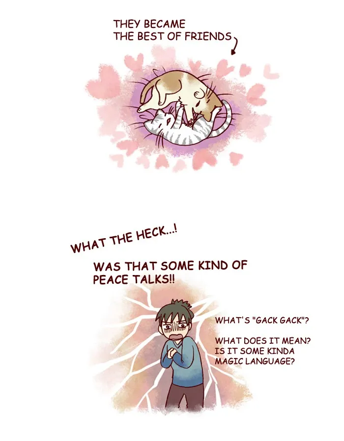 My Kitty and Old Dog Chapter 129 page 3 - 