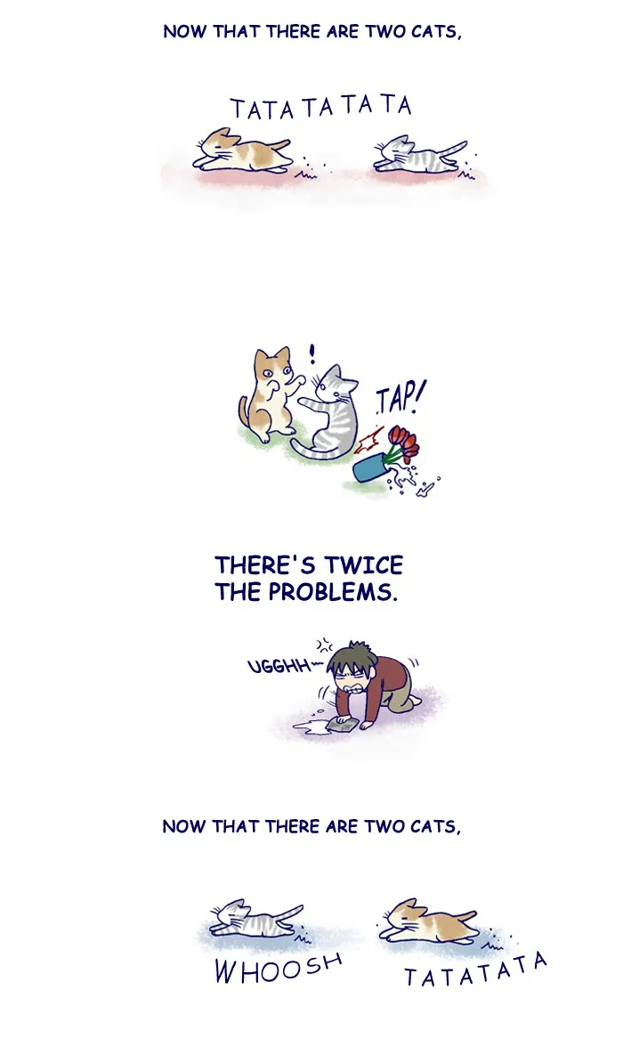 My Kitty and Old Dog Chapter 130 page 2 - 