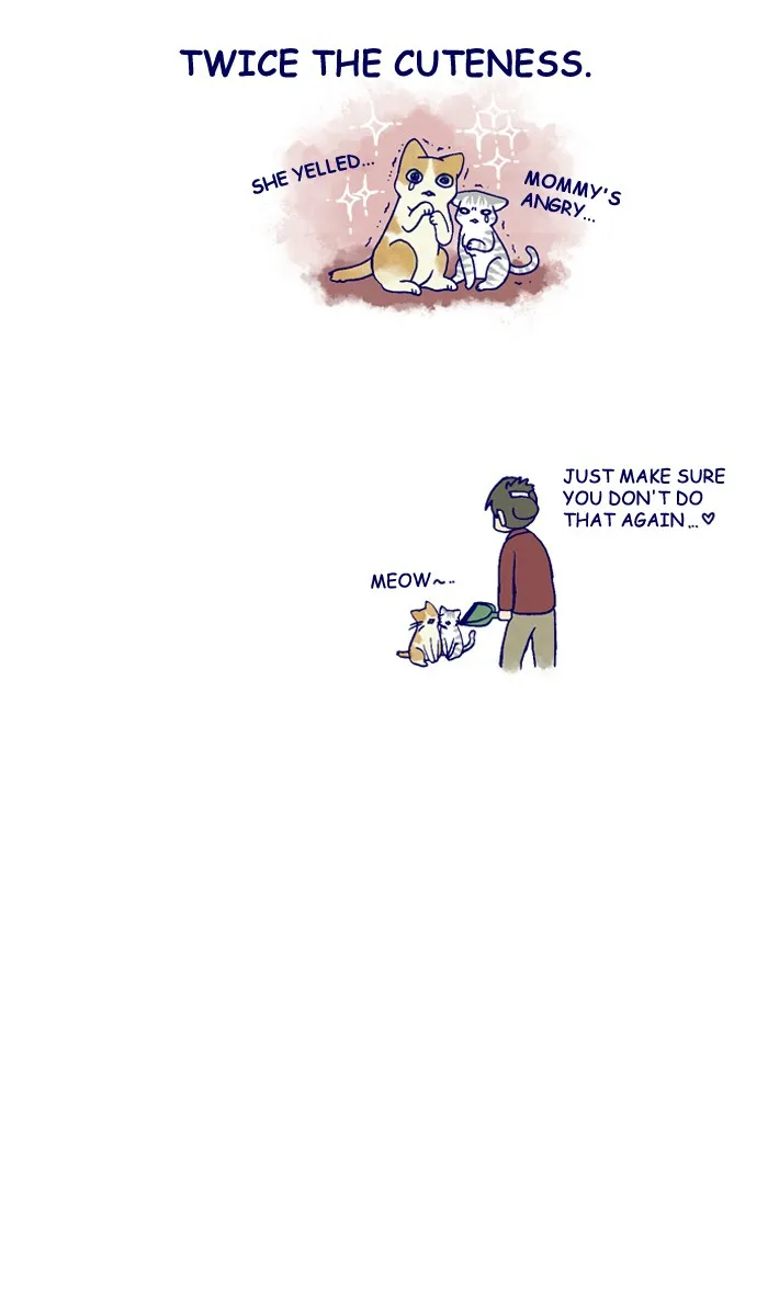 My Kitty and Old Dog Chapter 130 page 4 - 
