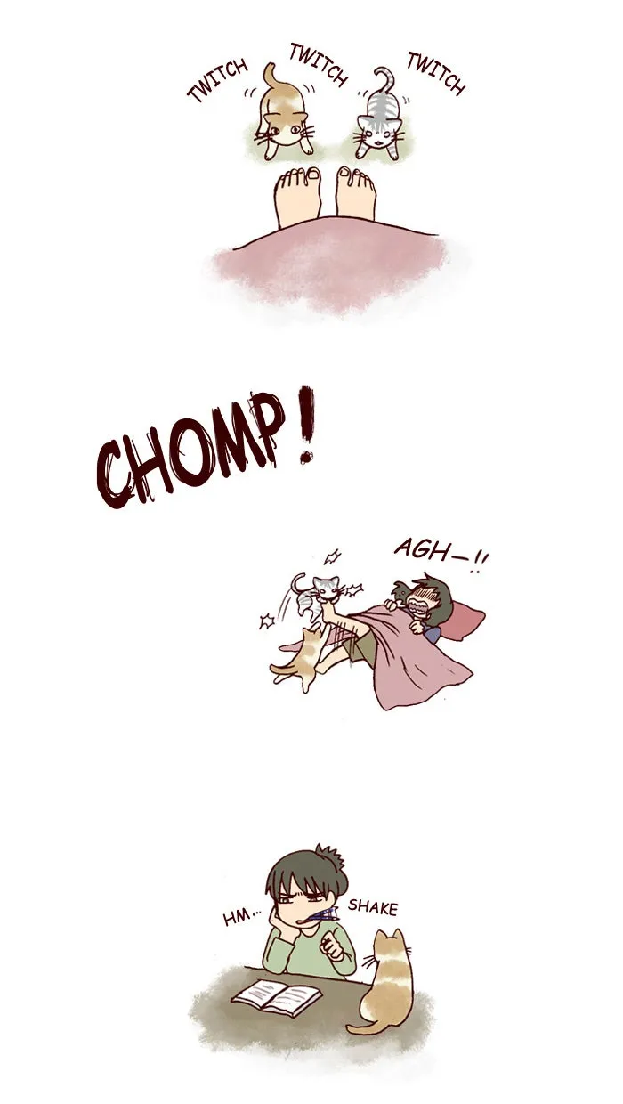 My Kitty and Old Dog Chapter 132 page 2 - 