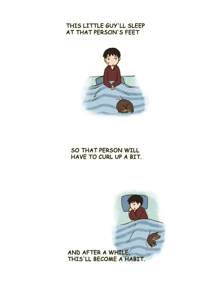 My Kitty and Old Dog Chapter 133 page 2 - 