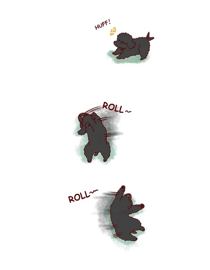 My Kitty and Old Dog Chapter 134 page 2 - 